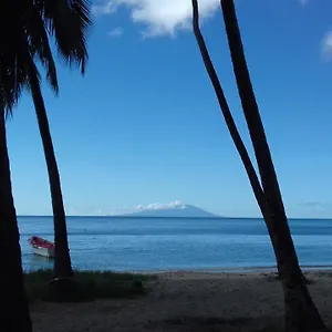 Palm View , Laborie Saint Lucia